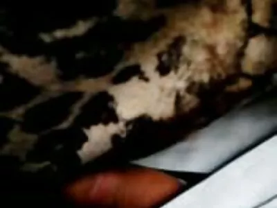 Upea aamu suihinotto pilluvideo toimistossa