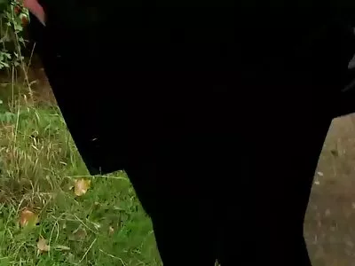 Kypsä vaimo saa mitä pillu videot ansaitsi